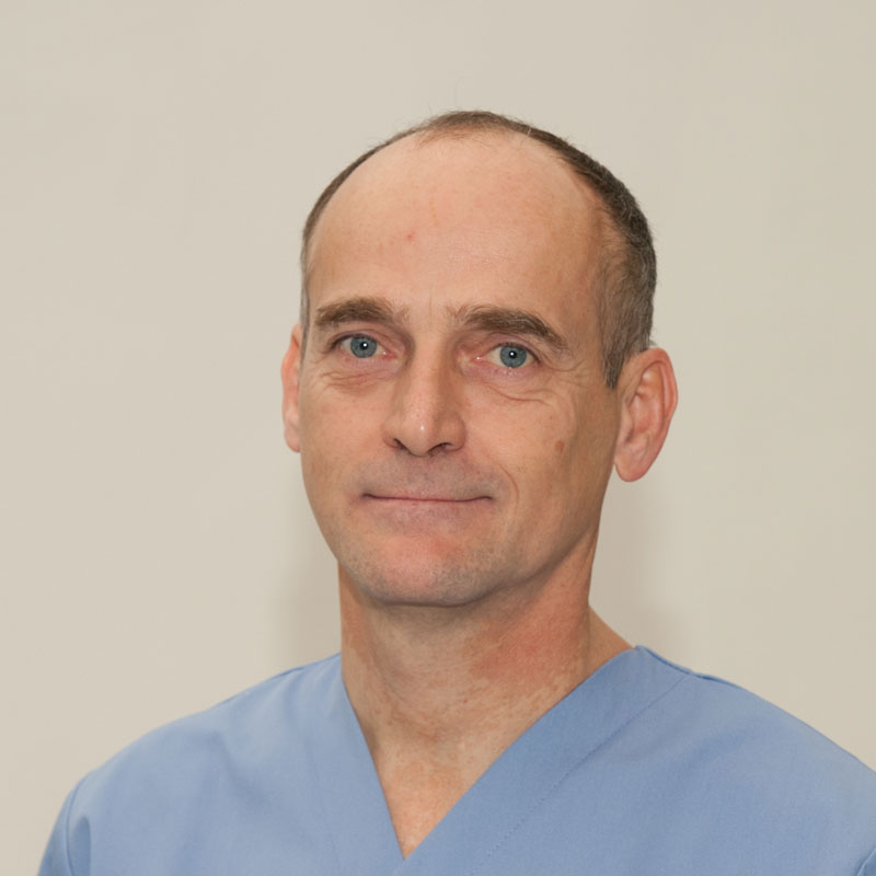 Ing. Dr. Helmut Niedermoser